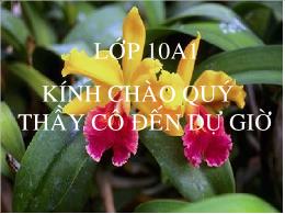 Bài giảng Ngữ văn 10: Nhàn (Nguyễn Bỉnh Khiêm